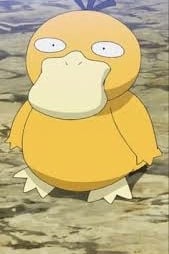 정재민