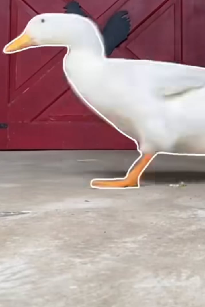 꽥