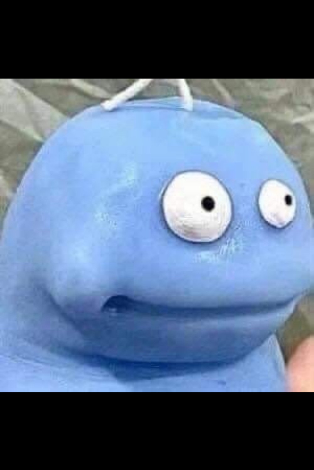 뽀삐
