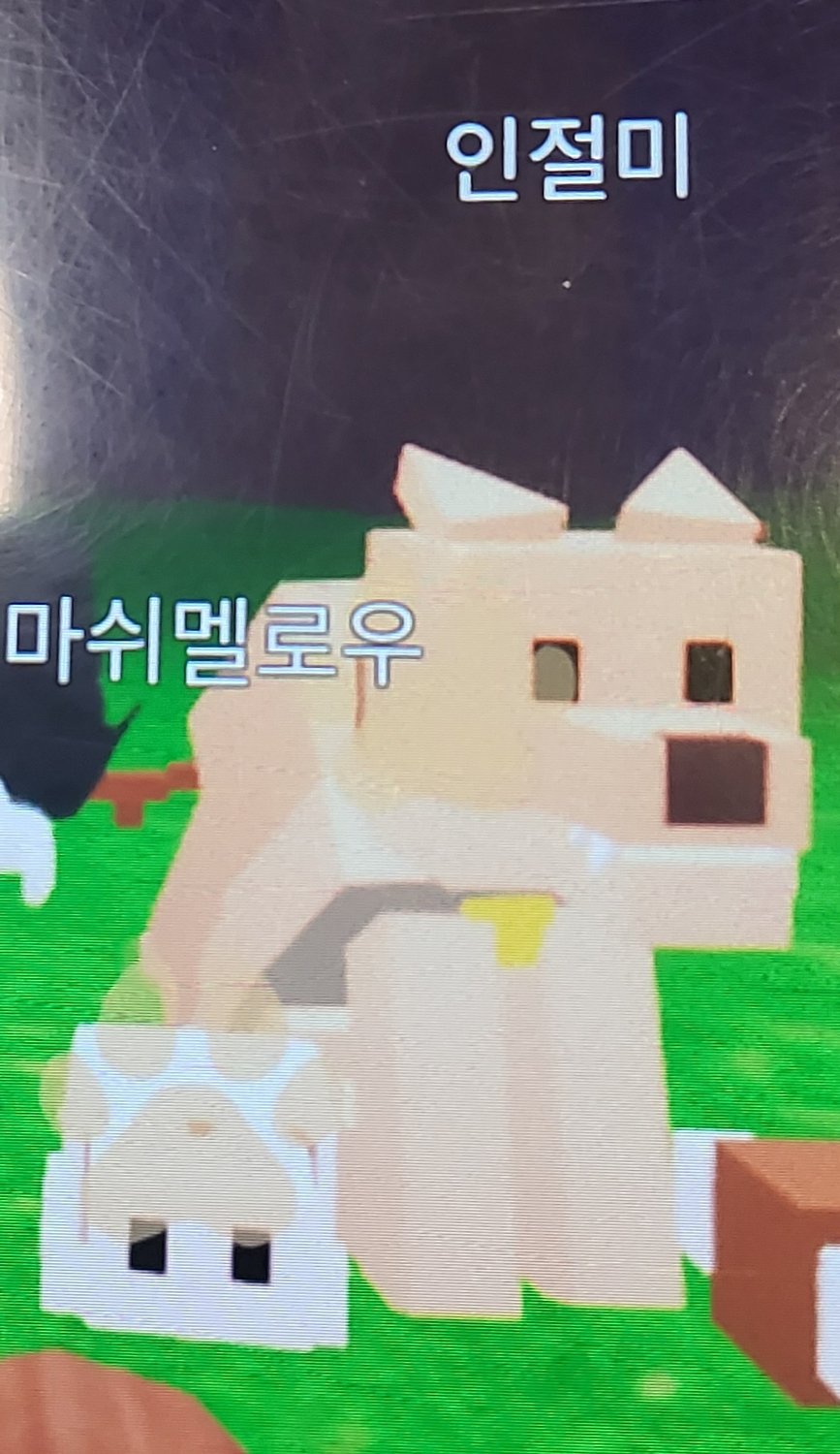 마시멜로우와 인절미