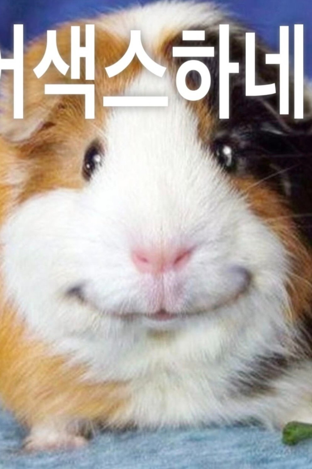 미미