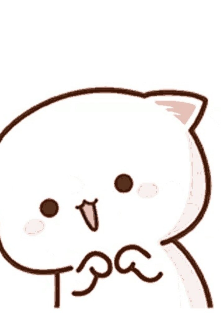 고양이
