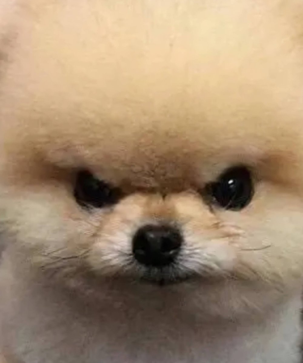 멍멍