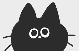 평범한 냥이