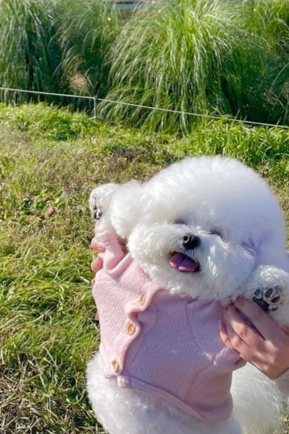 개