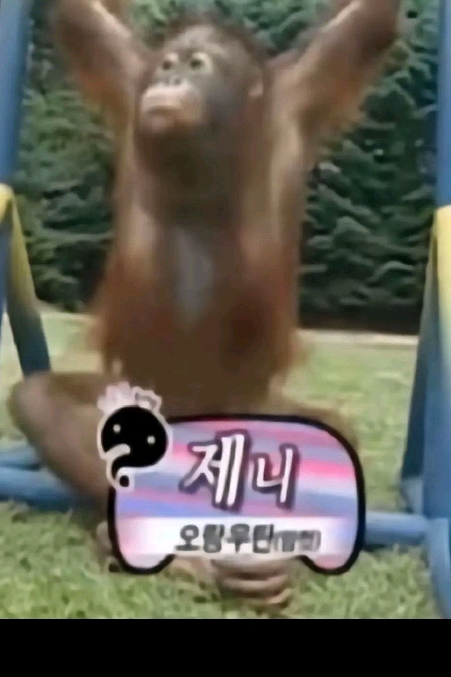 제니