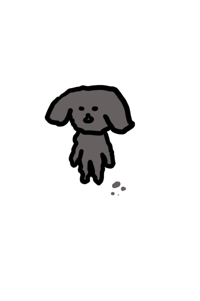아오이