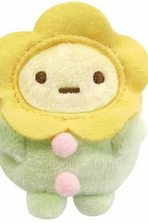 꽃