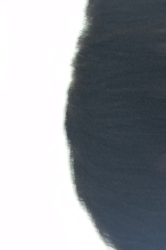 김이서