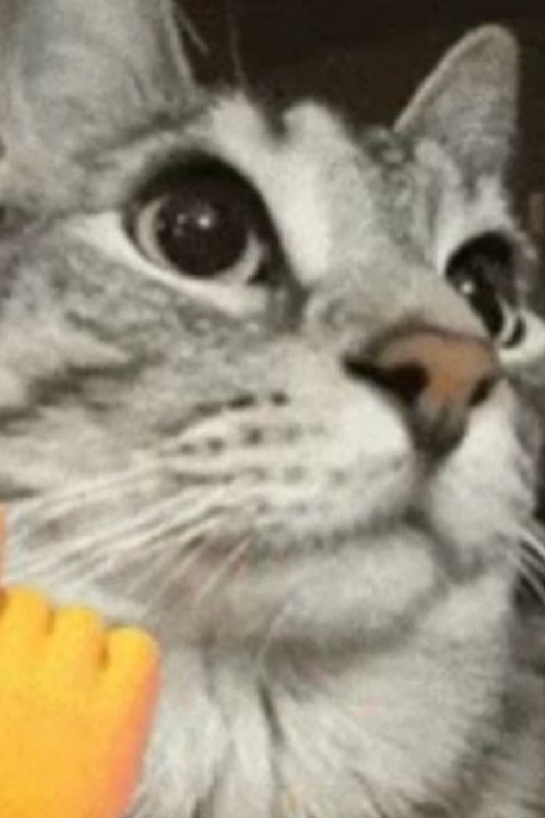이솜