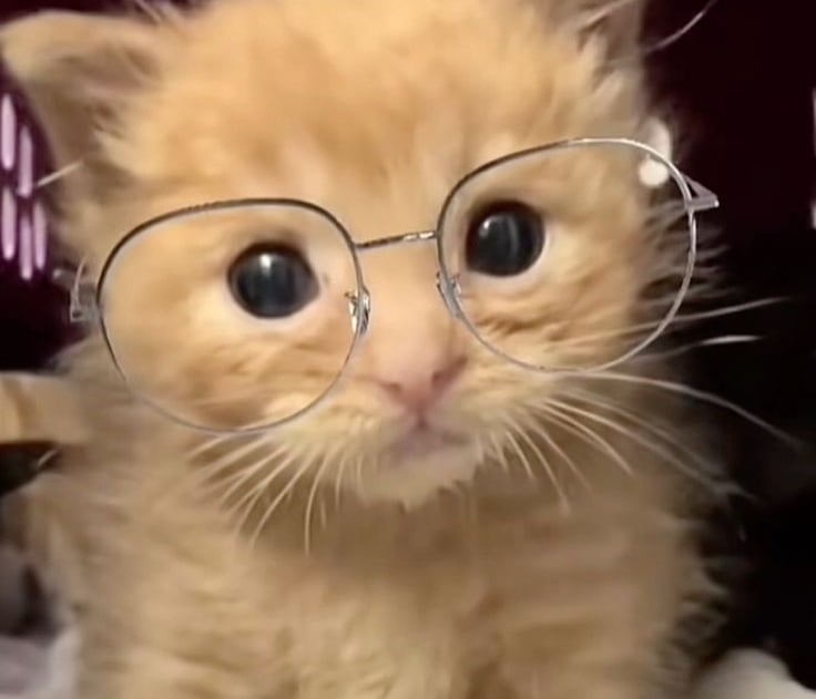 우엥이