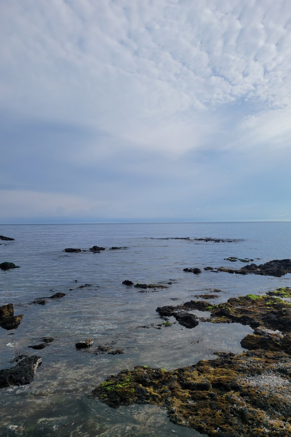 제주도 바다