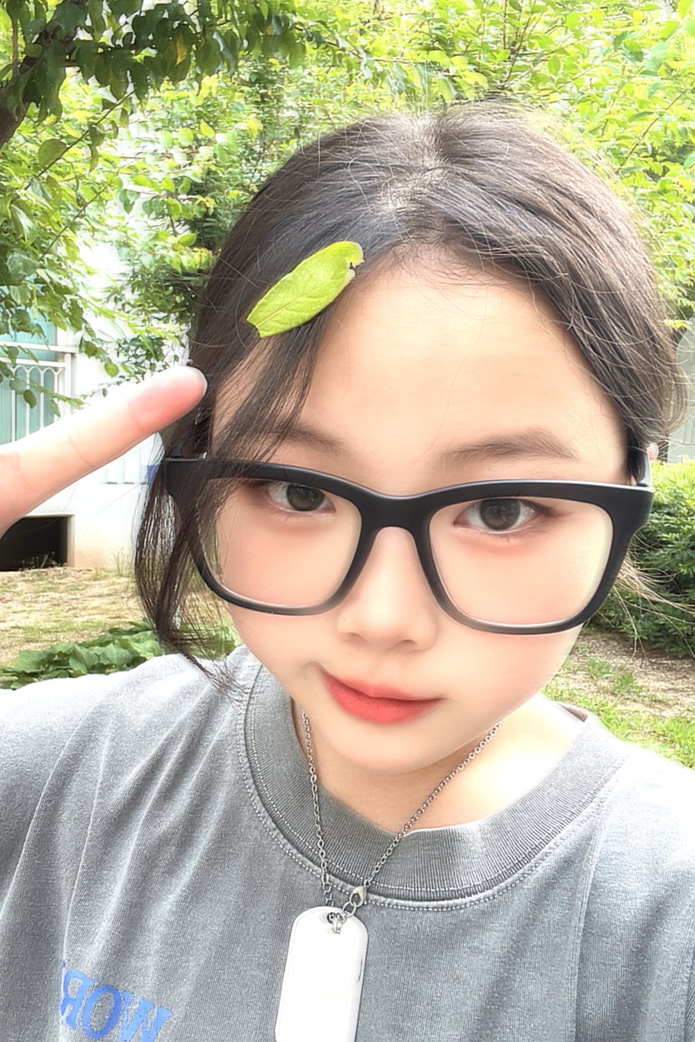 로샤