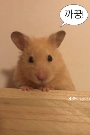 강지훈