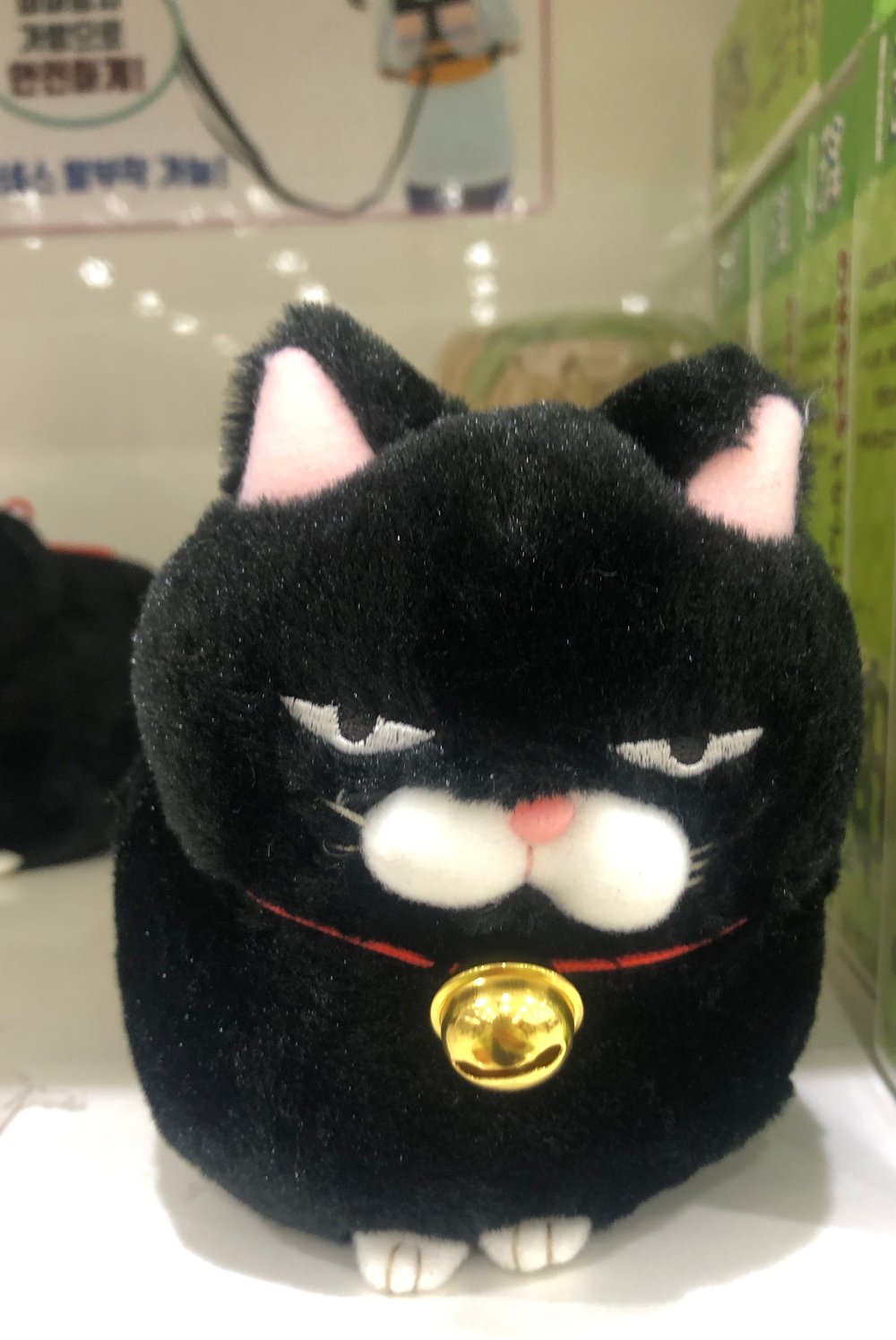 고양이