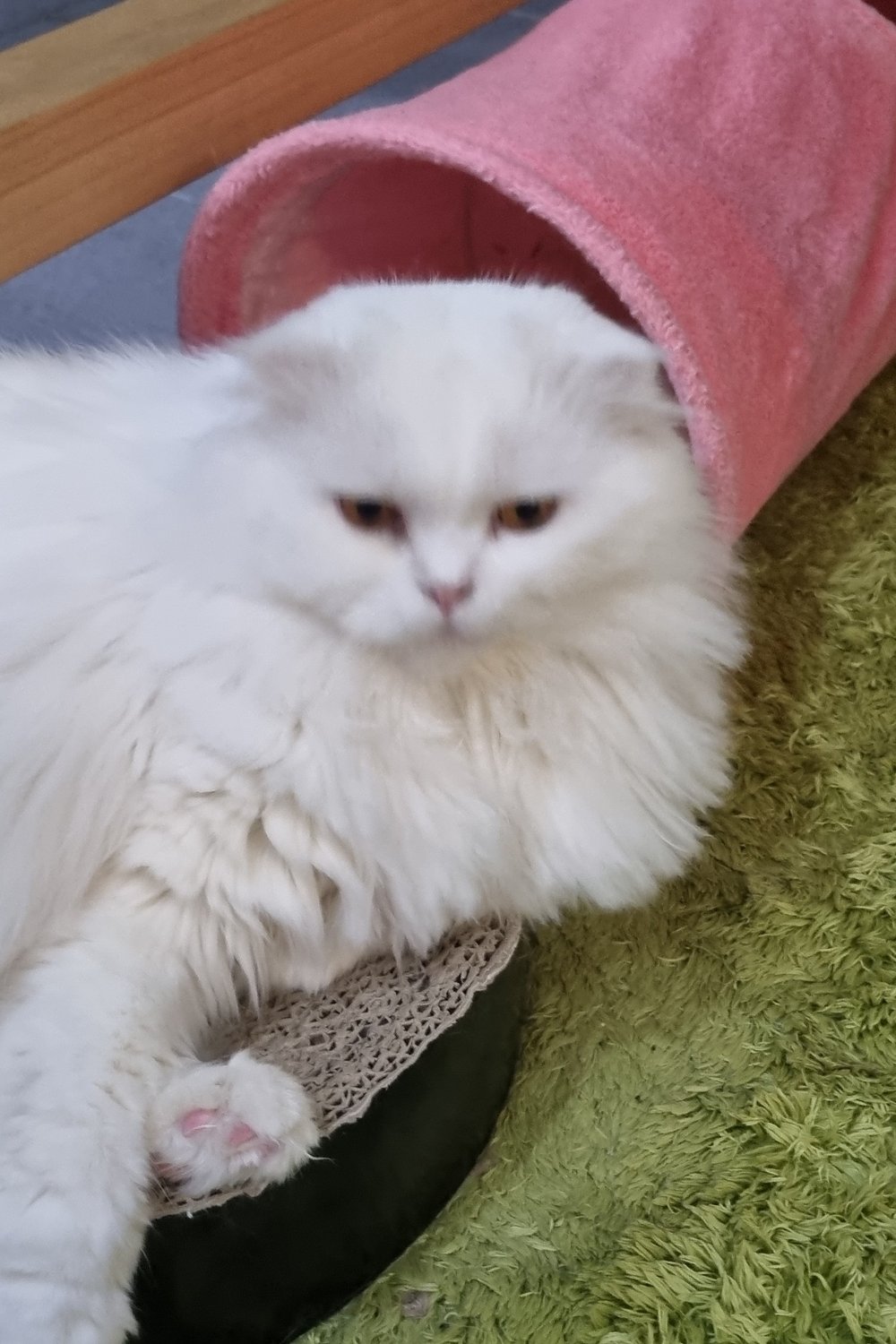 편의점 알바혜림