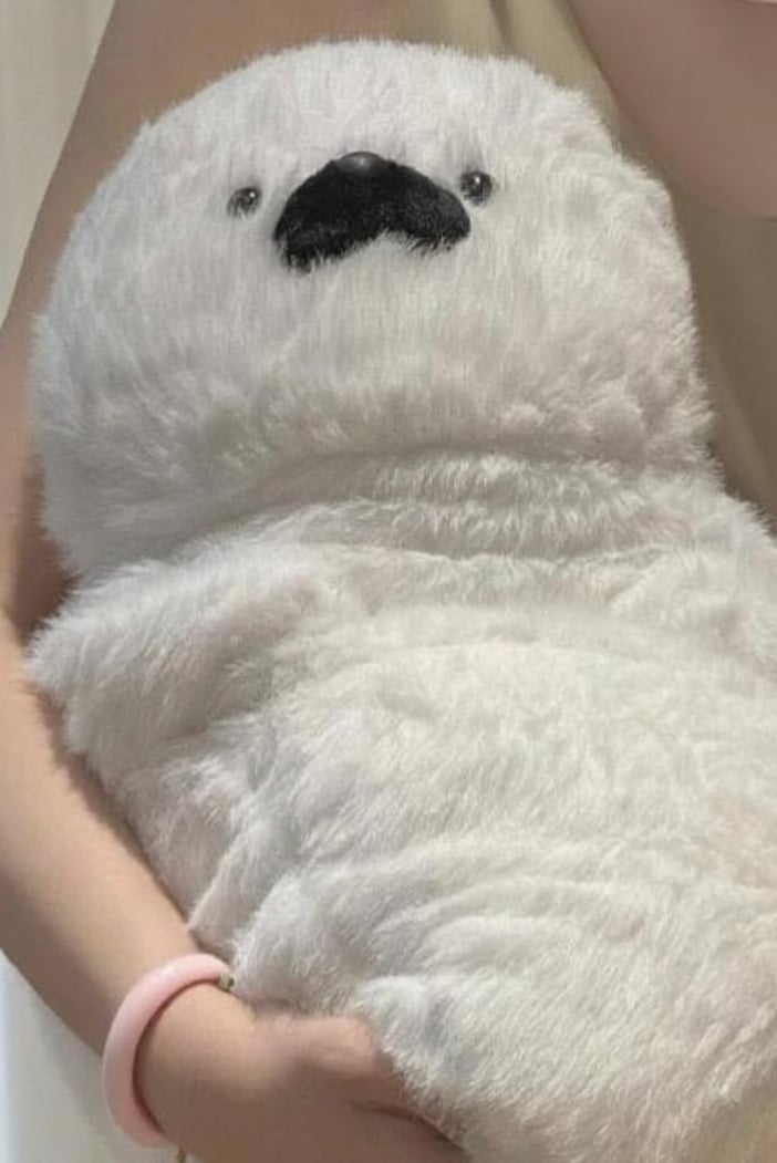 정선희