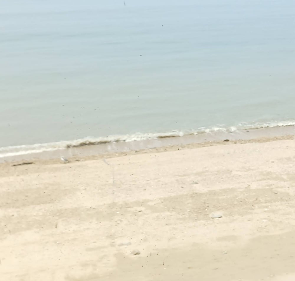 남수