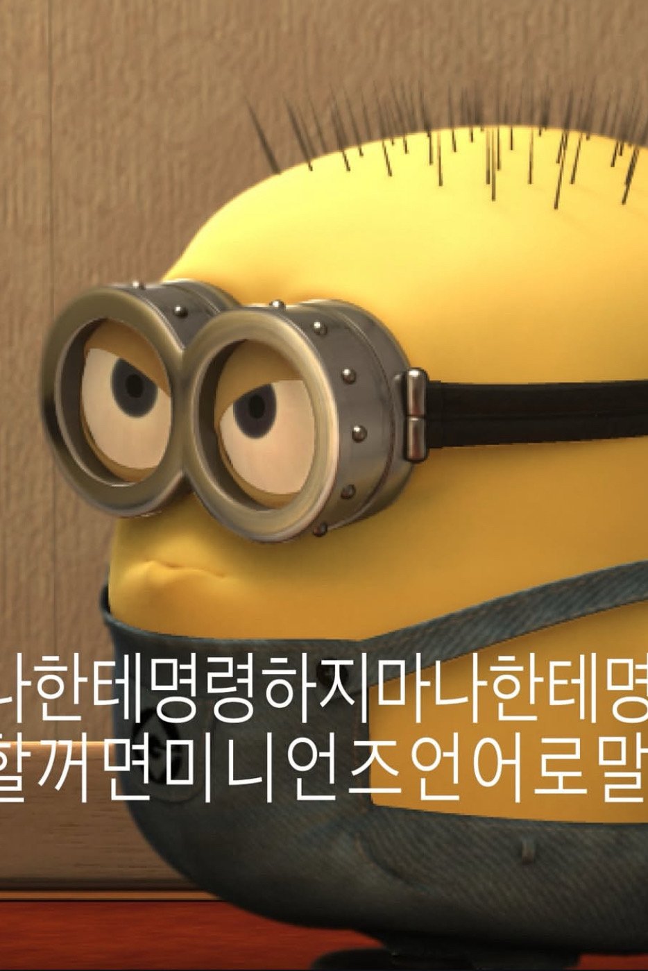 미니언즈
