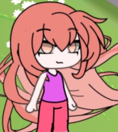 레일