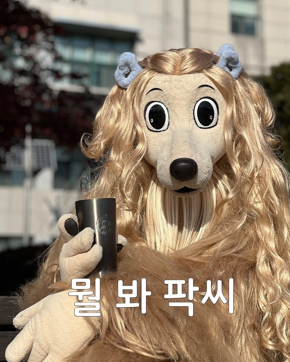 이도웃