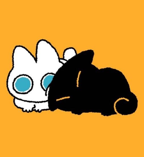 고양이