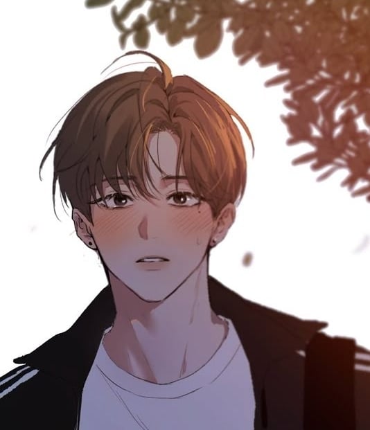 백지헌