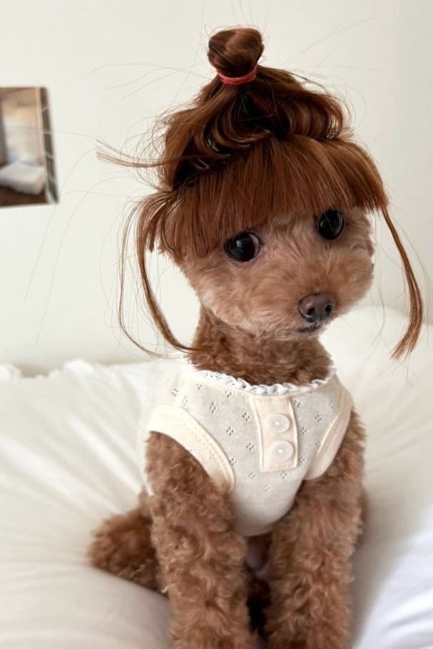 ㅋ
