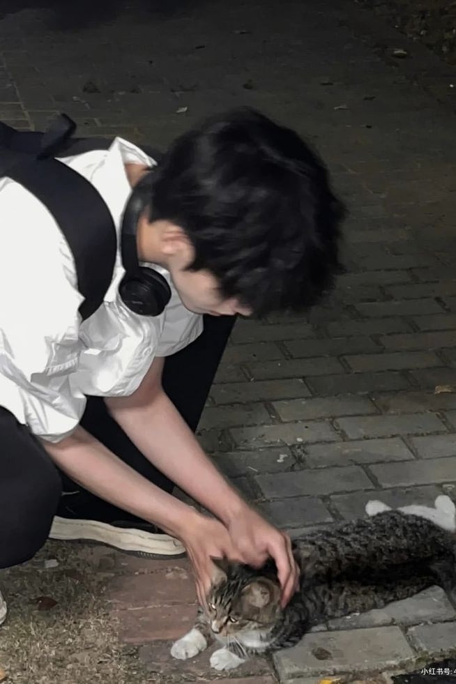 현 빈