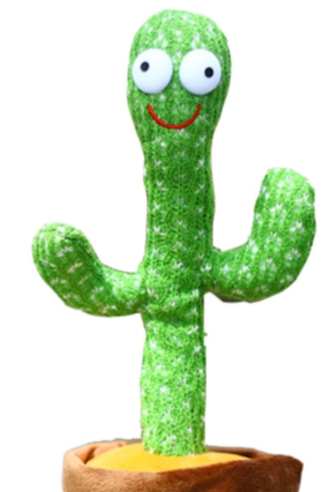 선인장