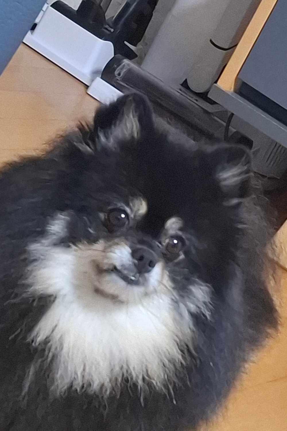 탄