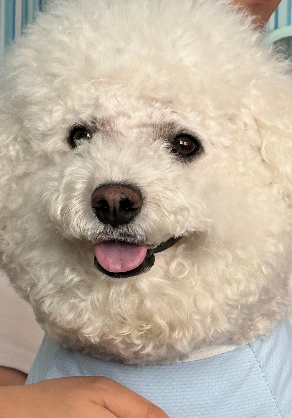 ㅇㅁㅇ