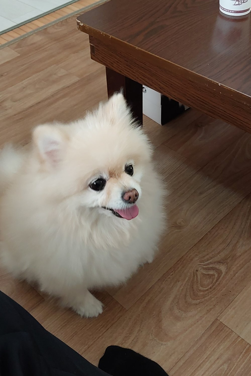 멋져