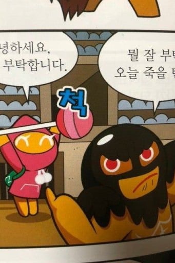 쿠키