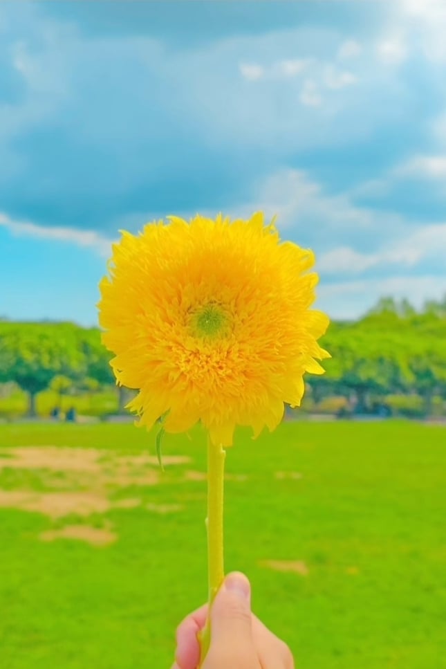 말하는 꽃