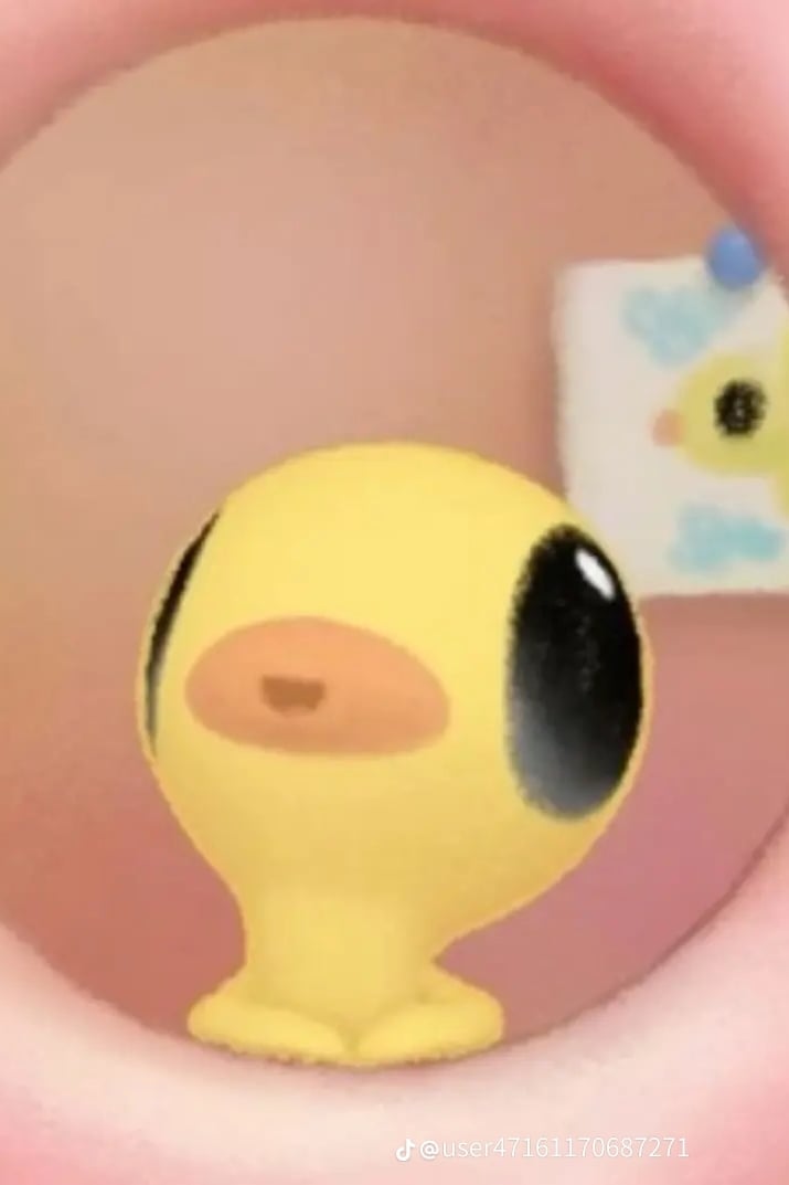 따개비루