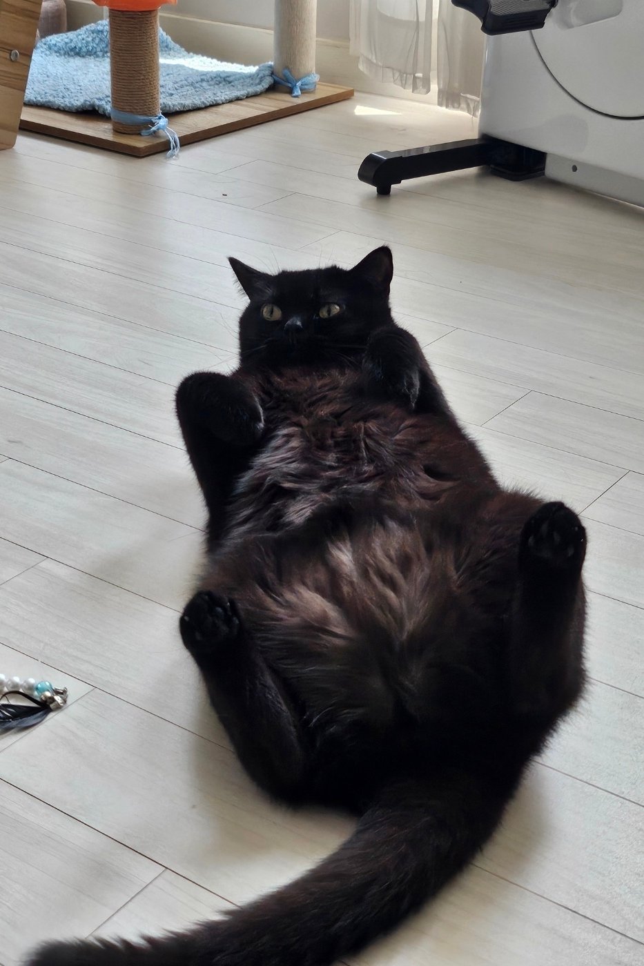 ㅎㅇ