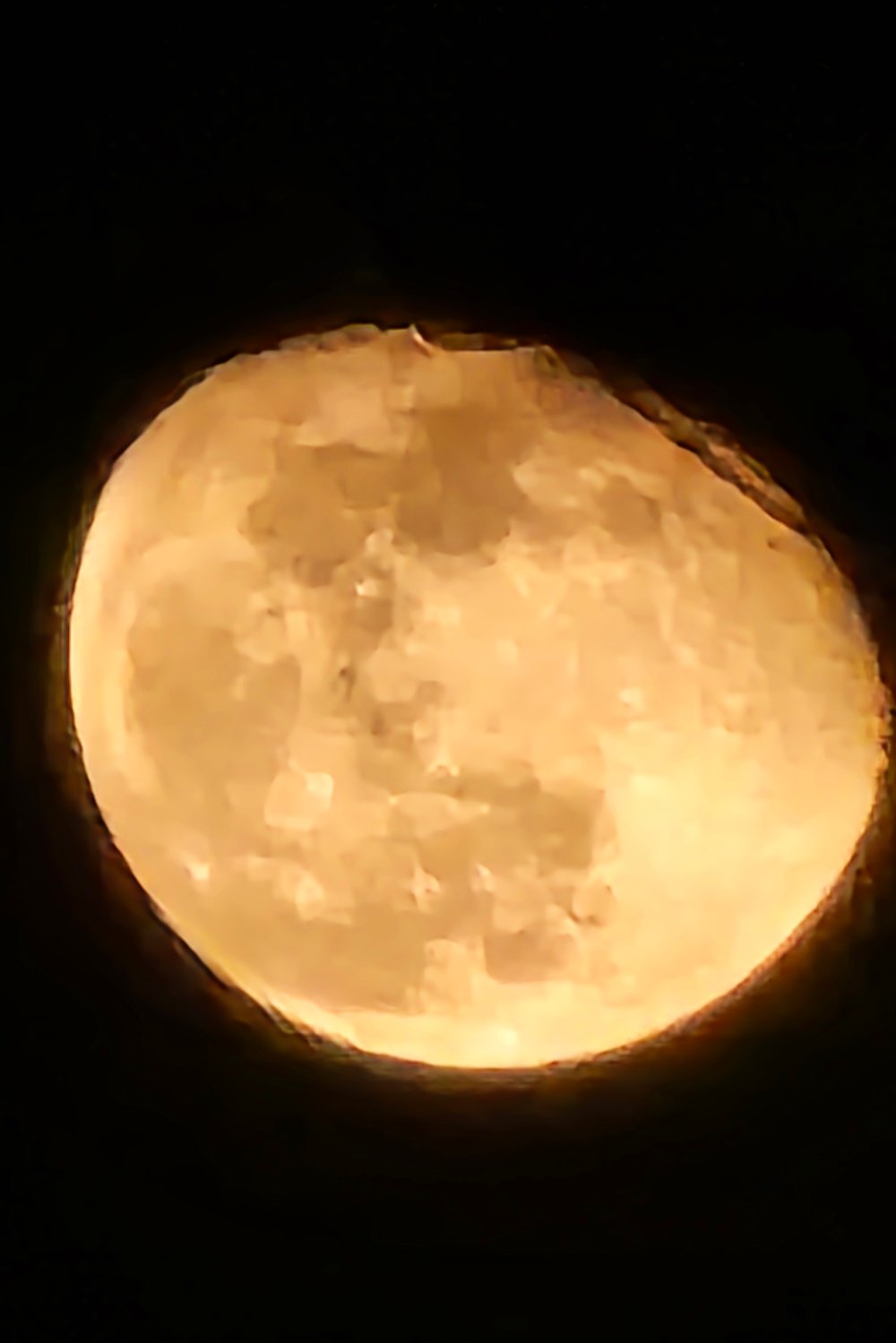 여름
