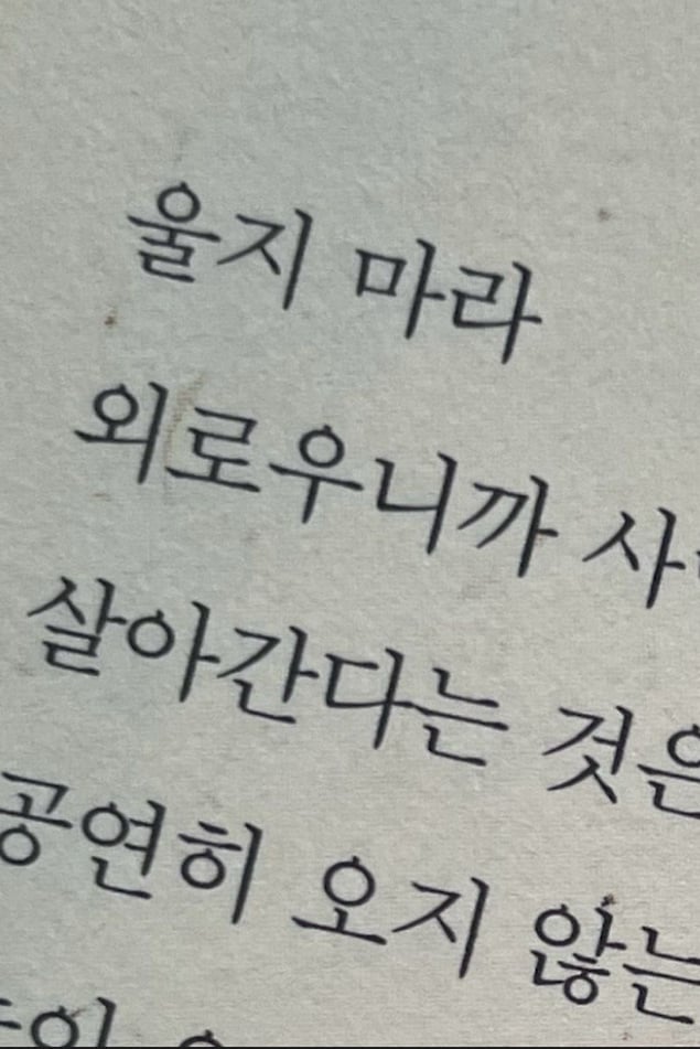 위로