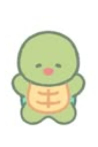 거북이