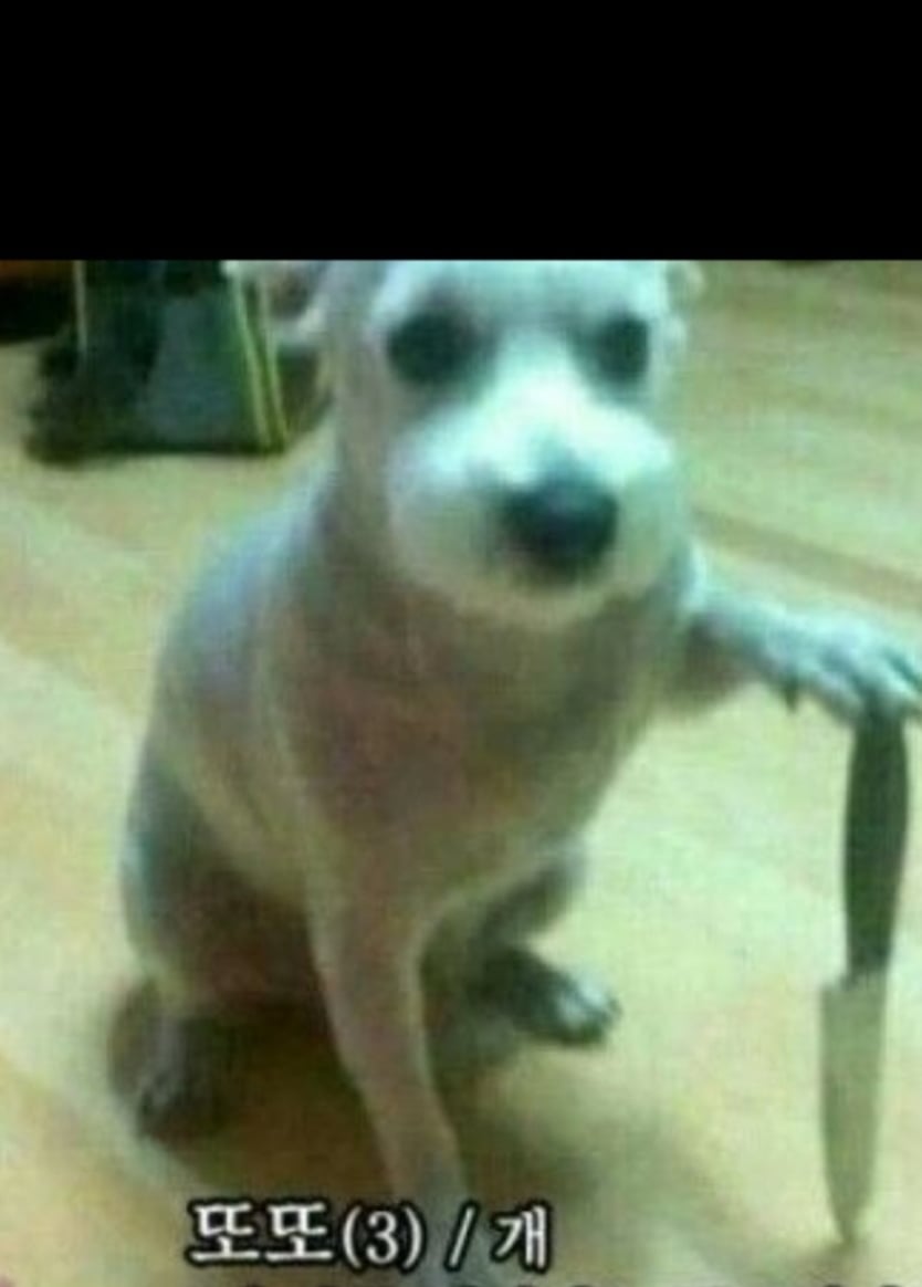 또또