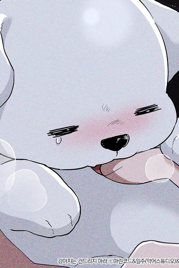 댕이