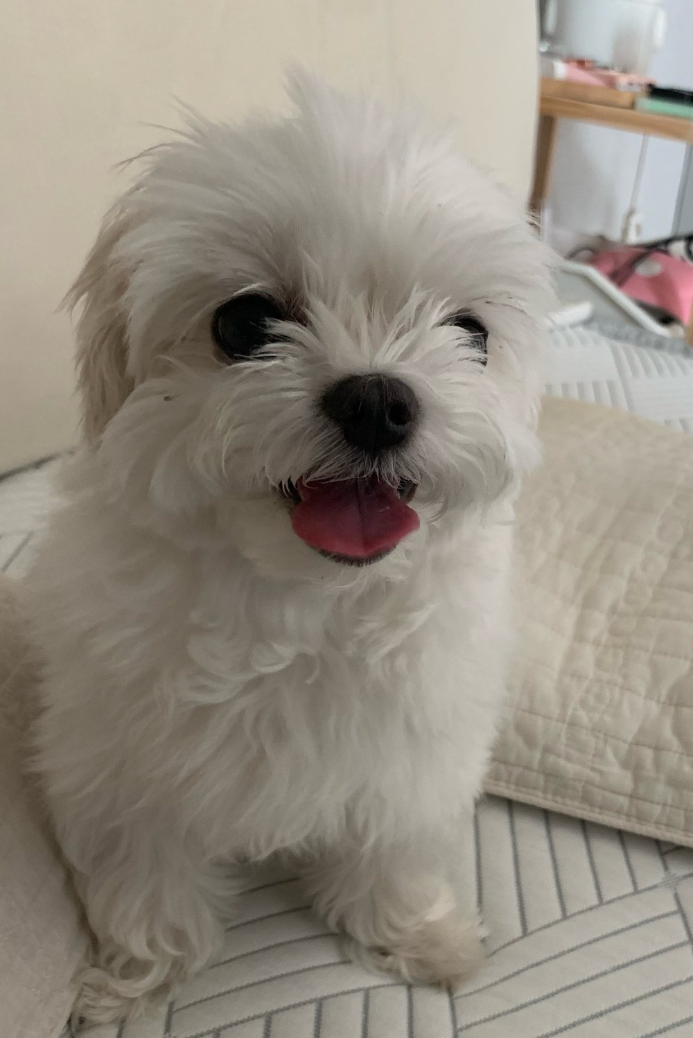 지윤