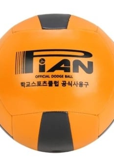 피구공