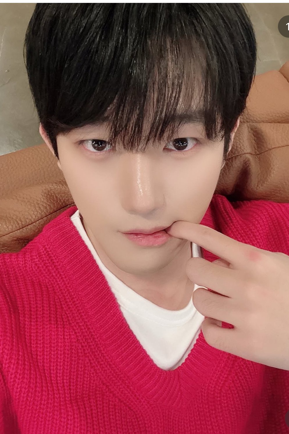 신태일
