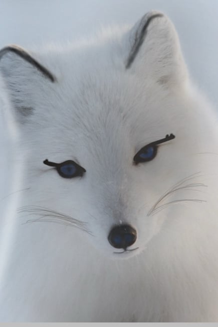 뀨