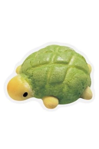 거북이