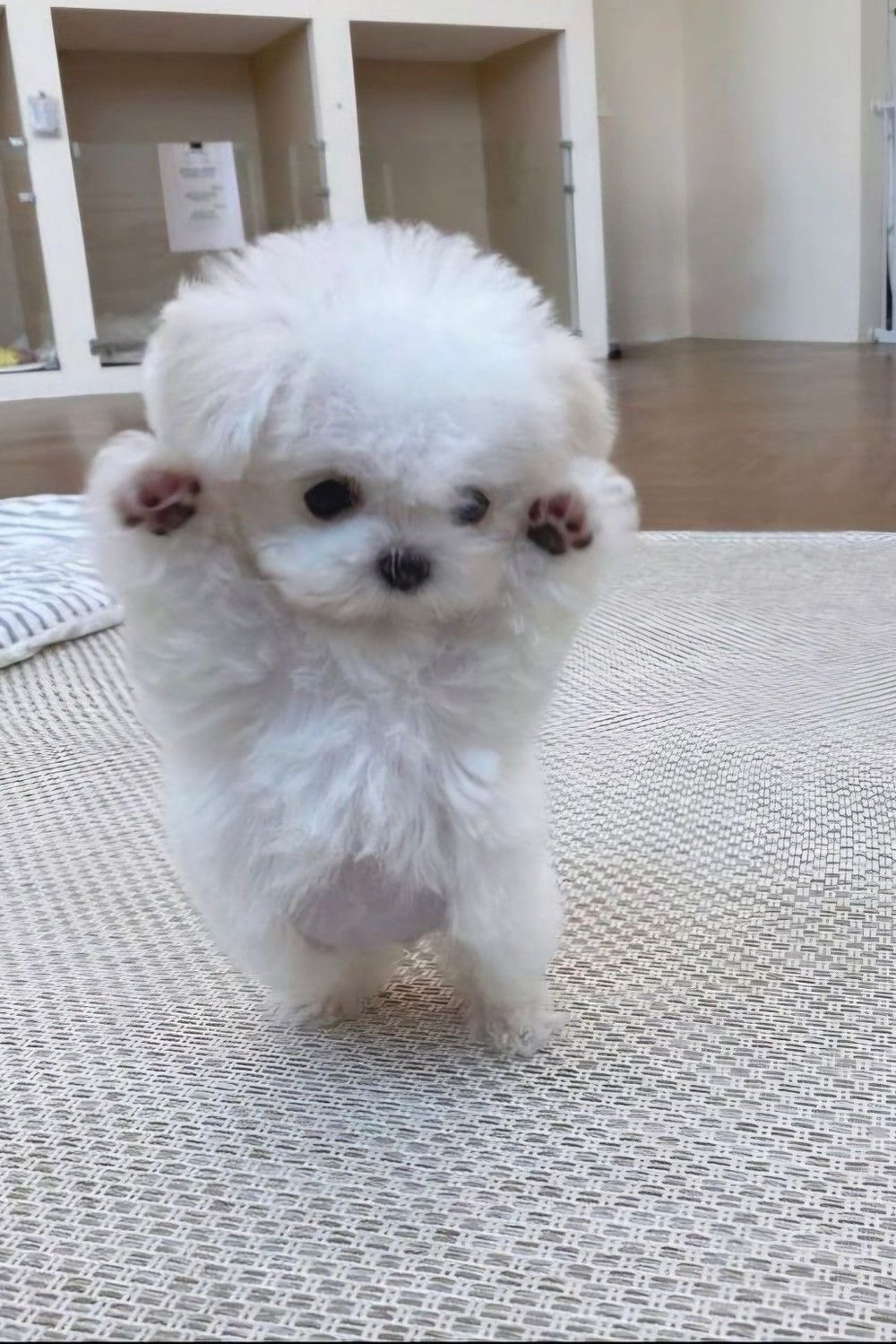 예은