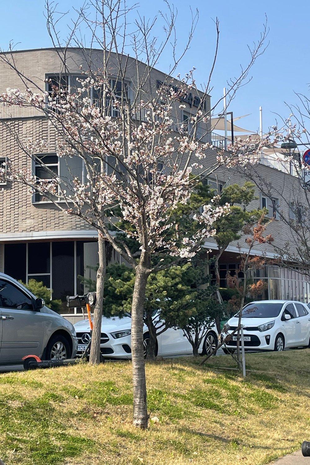 사람