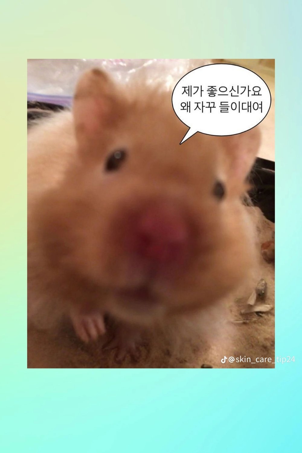 김태한